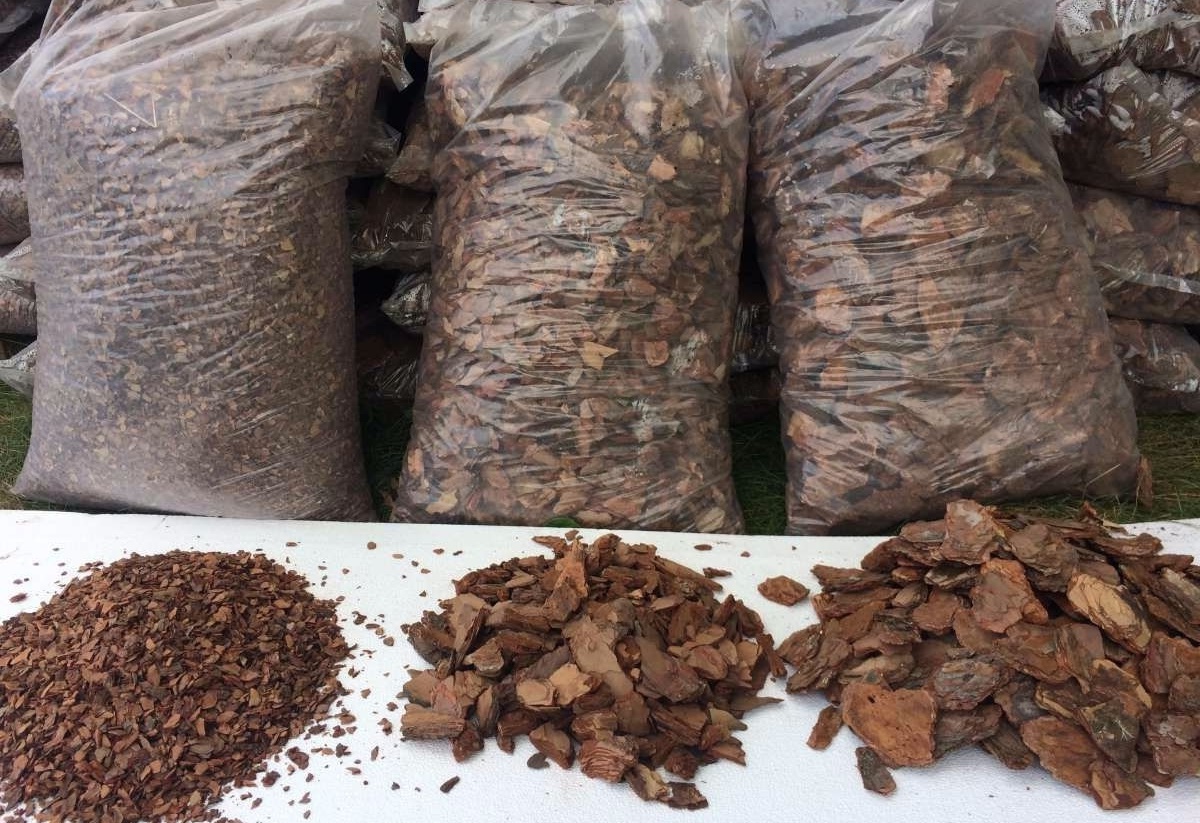 Кора лиственницы (средняя фракция) — изображение 2