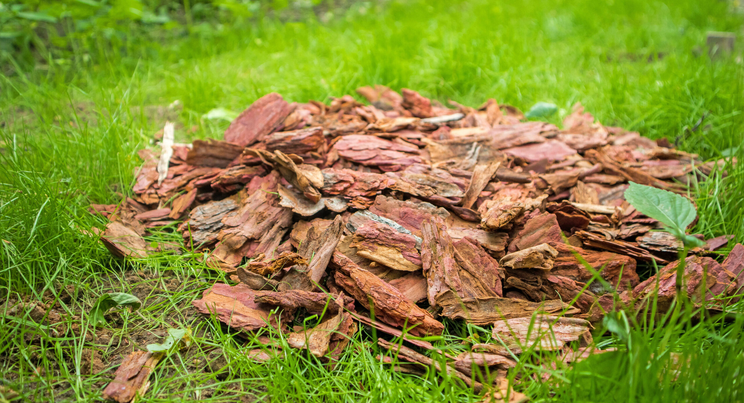 Кора лиственницы (средняя фракция)